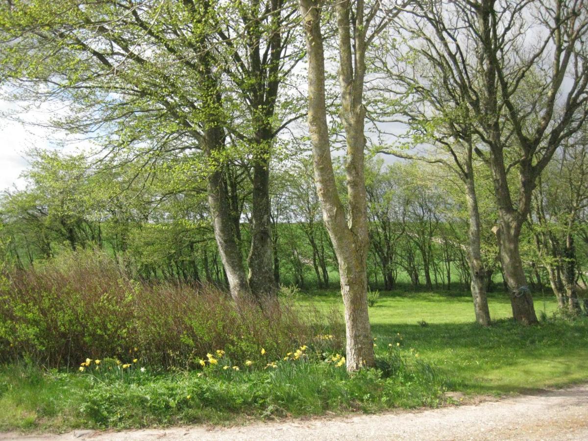 Feriegården i Floutrup Roslev Exteriör bild